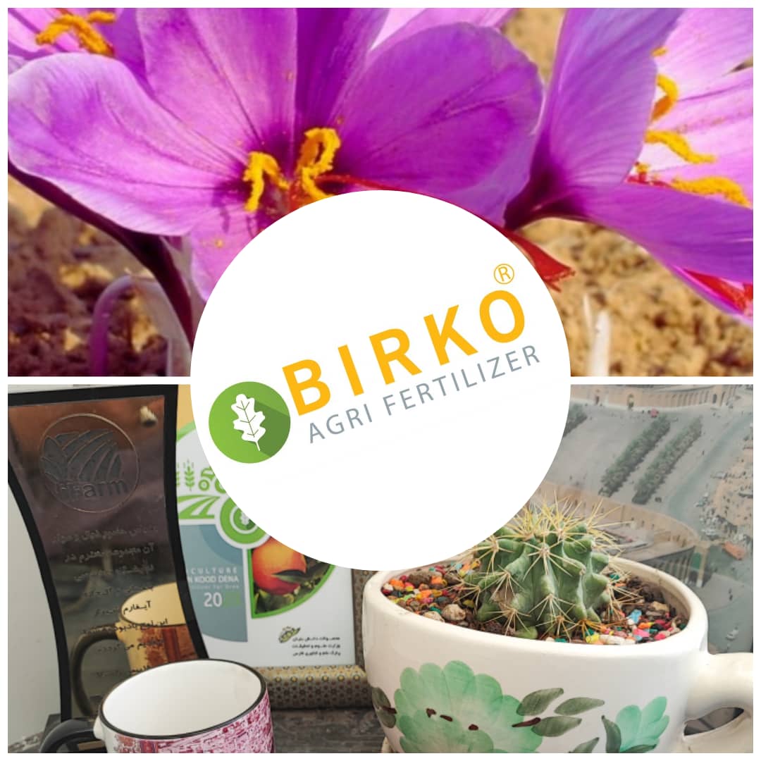 تحقیق و توسعه