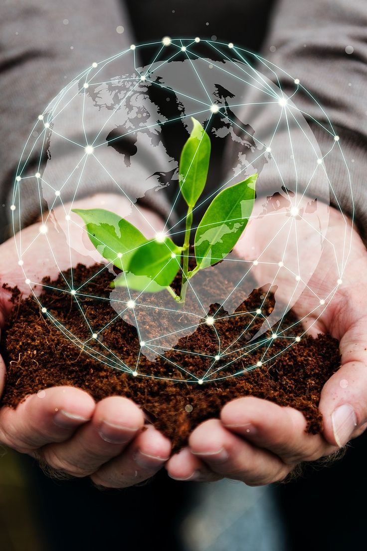 علل انتخاب بیرکو